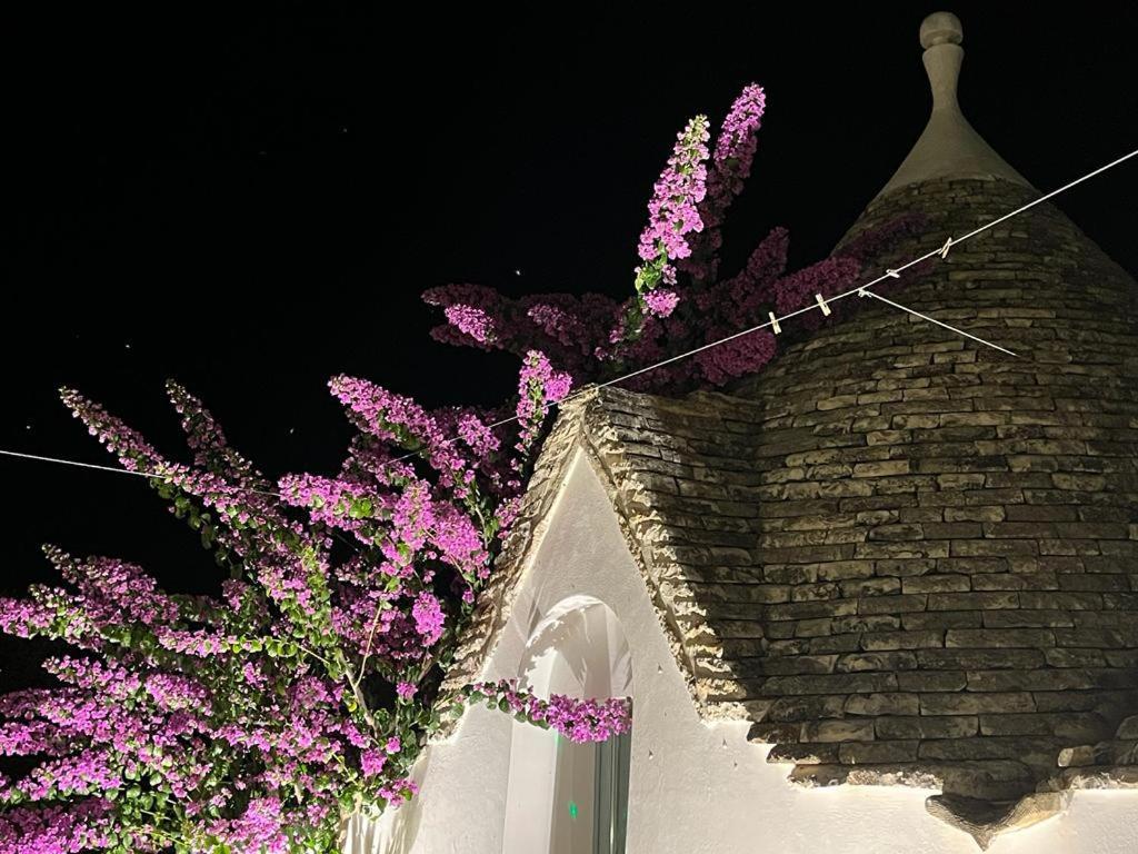 Trulli Harmonia Con Piscina - ألبيروبيللو المظهر الخارجي الصورة